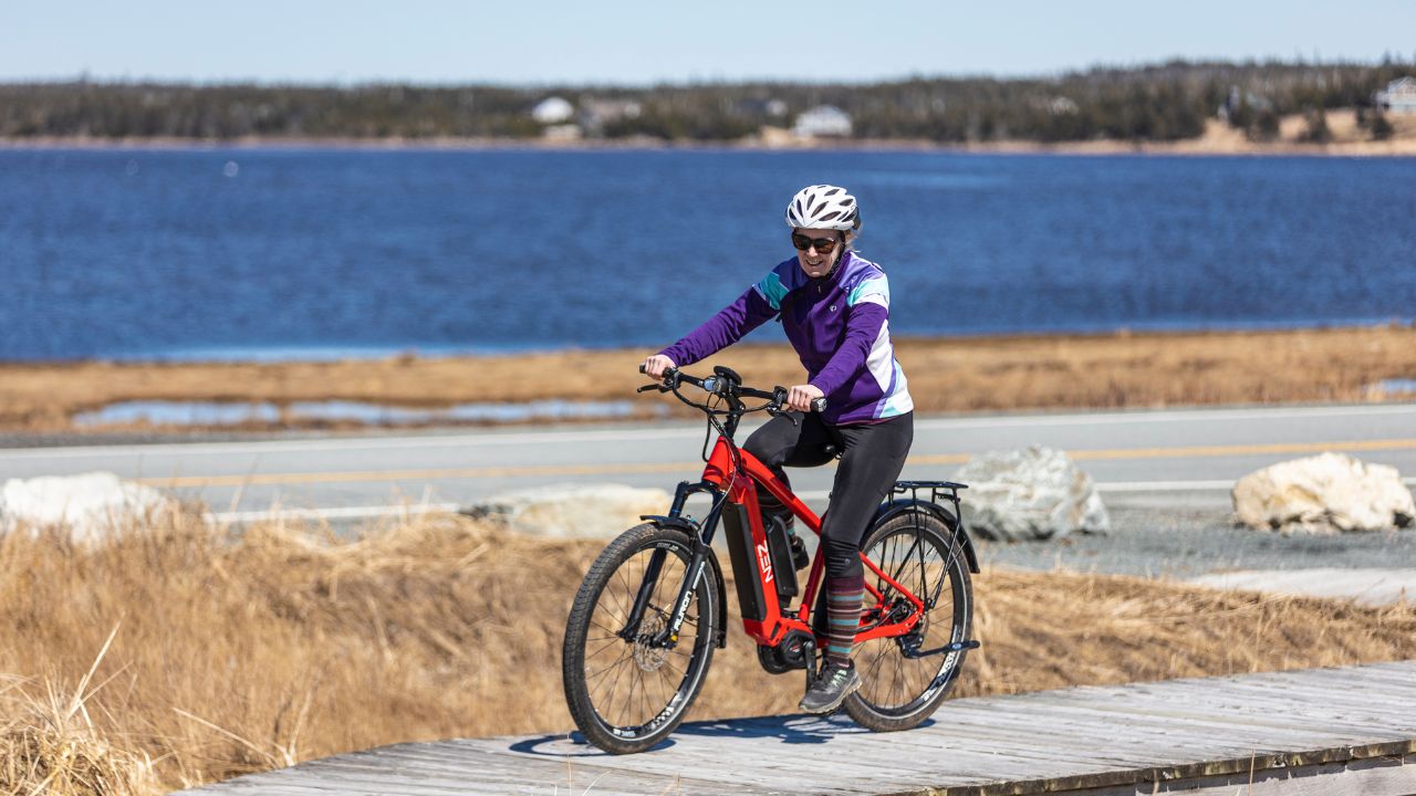 Do You Need a License to Ride Ebike in 2024 Decoding Global Bike Regs